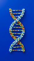 Colorful DNA double helix structure made of capsules and pills on blue background for medical genetics research and pharmaceutical education.