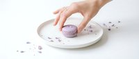 Elegant female hand picking a lavender macaron from a white ceramic plate, surrounded by delicate purple flower petals on white background.
