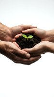 Two pairs of hands cupping dark soil with a green seedling sprout, symbolizing growth, care, and environmental sustainability on white background.