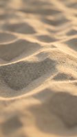 Golden sand dunes with smooth rippling patterns and warm sunlight creating natural texture for desert landscape backgrounds and travel designs.