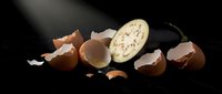 Broken eggshells scattered on dark surface with whole egg revealing speckled interior pattern for cooking and baking concepts.