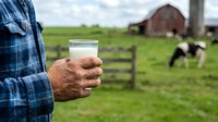 Farmer in blue plaid shirt holding fresh glass of milk on rural dairy farm with grazing cattle and barn in background.