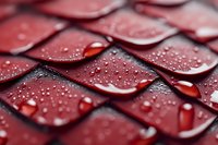 Water droplets on red metallic keyboard surface create dramatic macro photography effect with selective focus and reflective highlights showing technology detail.