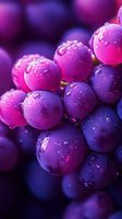 Fresh purple and pink grapes with water drops in macro photography, showing vibrant colors and natural moisture on fruit surface in dramatic lighting.