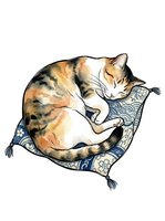 Tabby and white cat resting on decorative blue cushion with floral pattern, isolated on white background for design projects and merchandise applications.