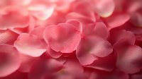 Delicate pink rose petals create soft romantic background with gentle bokeh effect. Natural floral texture for wedding, love, and Valentine's Day designs.