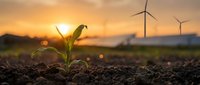 Young green plant seedling growing from fertile soil at golden sunset with wind turbines in background representing sustainable agriculture and renewable energy.