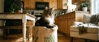 Tabby cat sitting in cardboard box labeled Whole Foods in modern kitchen with wooden cabinets and furniture. Domestic pet relaxation scene.