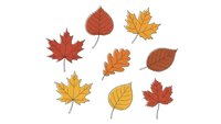 Autumn leaves collection with maple, oak and birch foliage in warm orange, red and yellow colors isolated on white background for seasonal designs.