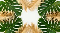 Tropical palm leaves and monstera foliage frame with golden dried fronds creating natural border on white background for summer design projects.