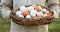 Farmer holding wicker basket filled with fresh brown, white and speckled eggs, ideal for agricultural, food production and farm-to-table marketing materials.