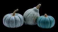 Trio of blue-green gourds with textured surfaces and natural stems, isolated on transparent background. Ready for clipart, t-shirt design, print-on-demand, stickers, and sublimation projects.