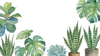 Tropical houseplants frame with monstera, snake plant and succulents on white background. Indoor gardening and home decor botanical border design.