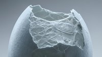 Microscopic view of cracked eggshell fragment showing detailed texture and broken edges on neutral background for scientific research.