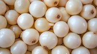 Fresh white onions arranged in rows creating natural organic vegetable pattern for cooking and culinary backgrounds.