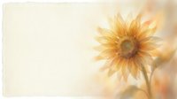 Soft dreamy sunflower with golden petals and warm bokeh background creates peaceful natural atmosphere for wellness and mindfulness designs.