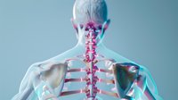 Human spine and skeletal anatomy viewed from behind, highlighting vertebral column with pink pain indicators on light blue background.