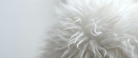 Soft white fluffy fur texture with long silky strands creating luxurious natural pattern for cozy home decor and fashion design projects.