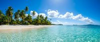 Tropical paradise beach with crystal clear turquoise water, white sand and palm trees under blue sky with fluffy clouds for vacation and travel concepts.
