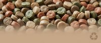 Mixed variety of colorful dried legumes and beans scattered on neutral surface for healthy cooking and nutrition concepts.