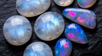 Collection of polished opal gemstones displaying vibrant rainbow fire and iridescent colors on dark slate surface for jewelry making and mineral collecting.