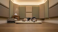 Relaxed dog resting on beige cushioned bed in minimalist room with soft lighting, wooden floor, and neutral wall panels for pet comfort and interior design.