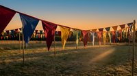 Colorful triangular bunting flags strung across rural field during golden hour sunset creating festive outdoor celebration atmosphere for events and gatherings.