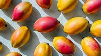 Fresh ripe mango fruits arranged in diagonal rows casting soft shadows on white surface, vibrant red and yellow colors create appetizing tropical pattern.