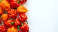 Fresh colorful hot chili peppers scattered on white background with copy space for culinary and cooking projects.