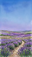Winding dirt path through blooming lavender fields with rolling hills under a gradient sky transitioning from blue to purple, ideal for travel and nature designs.