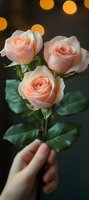 Delicate peach roses held in feminine hand against dark background with golden bokeh lights. Fresh blooming flowers with green leaves create romantic mood.