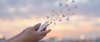 Hands releasing colorful paper birds into sunset sky symbolizing freedom, hope, dreams and transformation in peaceful moment.