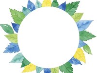 Watercolor leaves frame with white circle center isolated on transparent background for eco design projects and natural branding materials.