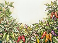 Chili pepper plants with vibrant red, orange, and purple pods growing on green leafy stems, isolated on cream background for culinary and gardening design projects.