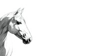 Elegant black and white profile of horse with flowing mane against white background, isolated for graphic design projects.