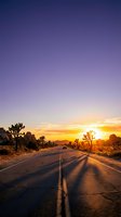Desert highway at golden hour with Joshua trees lining the road, dramatic sunset sky transitioning from purple to orange, vehicle in distance, long shadows cast across asphalt, ideal for travel and adventure themes.