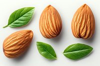 Fresh whole almonds with green leaves arranged on white background, isolated nuts macro photography for food packaging and healthy eating concepts.
