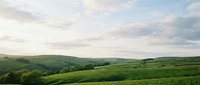 Rolling green hills with lush farmland and scattered trees under a partly cloudy sky, suitable for agricultural, environmental, and rural landscape projects.