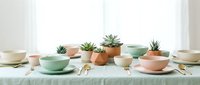 Pastel ceramic dinnerware set with small succulent plants arranged on mint green tablecloth creating modern minimalist table setting for home decor and dining.