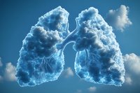 Anatomical visualization of human lungs formed by white fluffy clouds against blue sky background, representing respiratory health and medical concept.