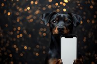 Adorable black and tan puppy holding blank smartphone with golden bokeh lights background for holiday marketing and pet technology concepts.