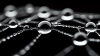 Macro photography of water droplets on spider web creating natural lens effect against dark background, showing nature's delicate patterns and light refraction.