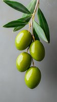 Fresh green olives on branch with leaves against gray background, close-up view showing natural texture and glossy surface. For food and agriculture concepts.