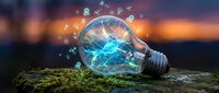 Light bulb with glowing brain neural network on moss surface at sunset representing innovation creativity and bright ideas for business technology concepts.
