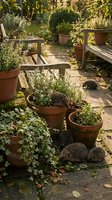 Rustic garden terrace with terracotta pots filled with herbs and plants, wooden benches, and hedgehogs exploring the peaceful outdoor space in warm sunlight.