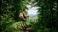 Male hiker with backpack trekking through lush forest trail with mountain vista, outdoor adventure and nature exploration for travel and lifestyle content.