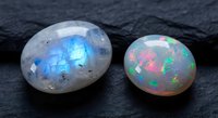Two polished opal gemstones displaying vibrant blue and multicolor fire patterns on dark slate surface for jewelry making and mineral collection purposes.