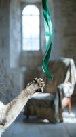 Playful cat reaching up to bat at dangling green ribbon in rustic interior space with arched window and soft natural light, capturing feline curiosity and interactive play moment.