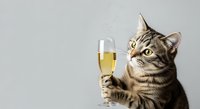 Tabby cat holding champagne flute with paw, celebrating with sparkling wine on white background, isolated for greeting cards and festive designs.