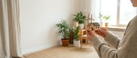 Woman reading book in cozy living room with houseplants by window, enjoying peaceful morning routine at home for relaxation and leisure lifestyle.